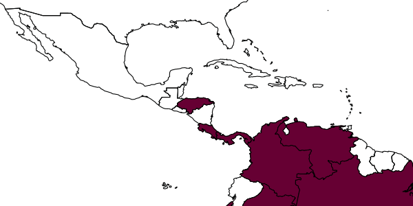 map of Probolomyrmex boliviensis     Mann, 1923